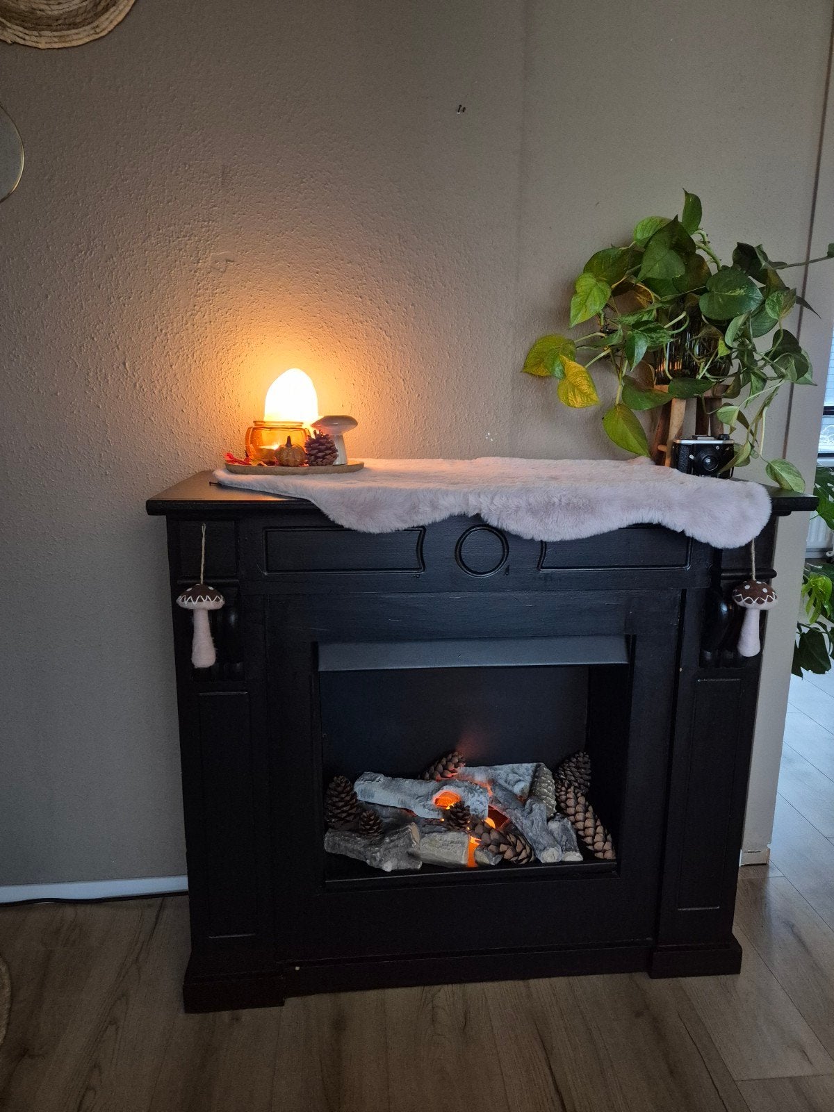 GRATIS schouw, Ophalen, Gebruikt, Vrijstaande haard, Overige soorten