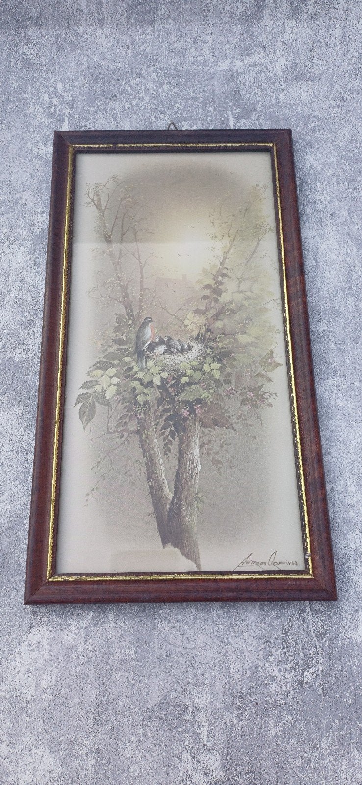 Set van 3 Vintage Prints in Houten Lijsten, Minder dan 50 cm, Gebruikt, Ophalen of Verzenden, Print