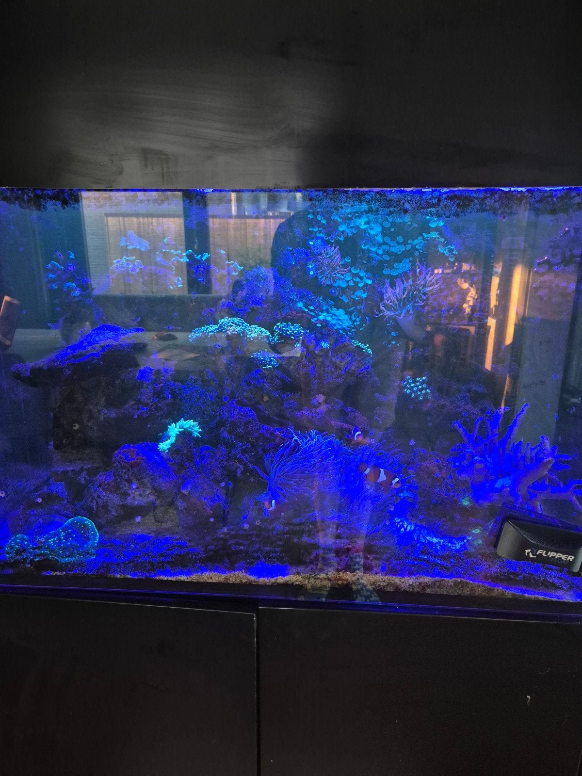 Complete red sea reefer 300xl zeeaquarium, Ophalen, Gevuld zeewateraquarium