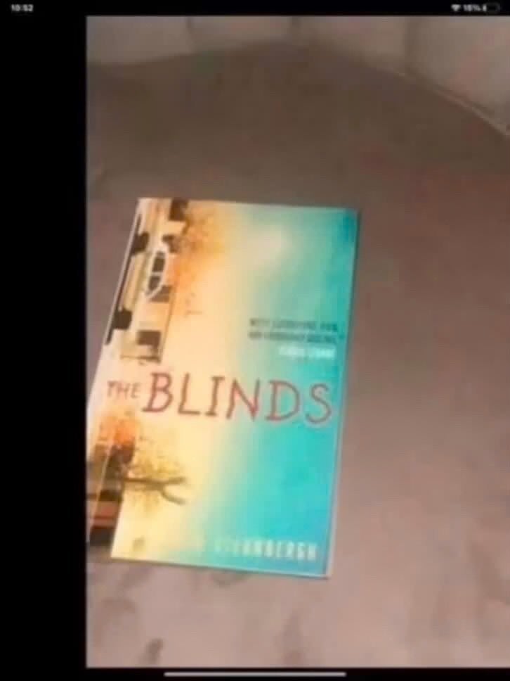 The Blinds - Adam Sternbergh (Thriller), Adam Sternbergh, Ophalen of Verzenden, Zo goed als nieuw, Amerika