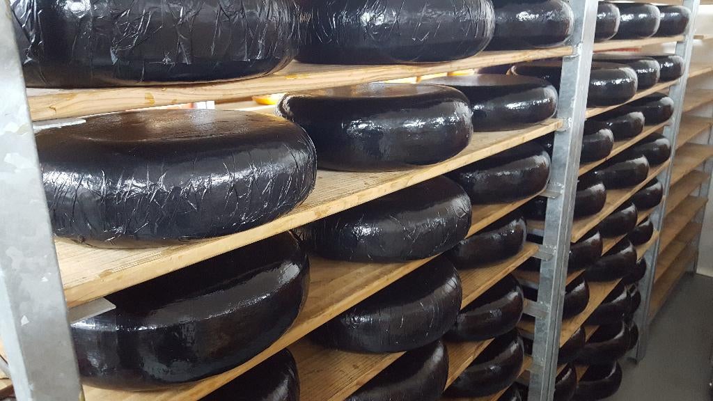 Top eten: Hele oud snijdbare Goudse kaas voor €95,= p.stuk !, Ophalen of Verzenden