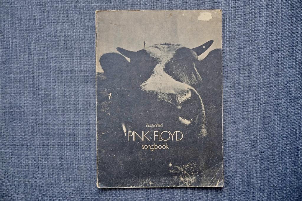 Pink Floyd - illustrated songbook, Boeken, Muziek, Ophalen of Verzenden, Gelezen, Artiest