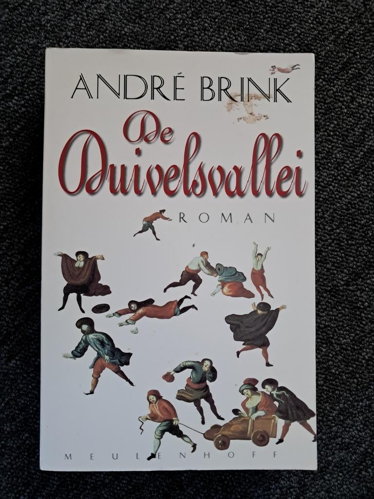 André Brink - De Duivelsvallei (roman), Ophalen of Verzenden, Gelezen, André Brink, Wereld overig