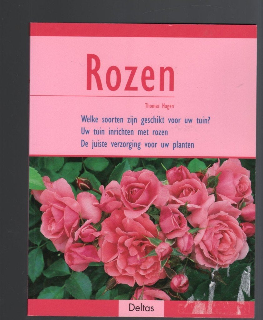 Rozen Thomas Hagen NEW!! (s97), Ophalen, Overige soorten, Minder dan 100 cm