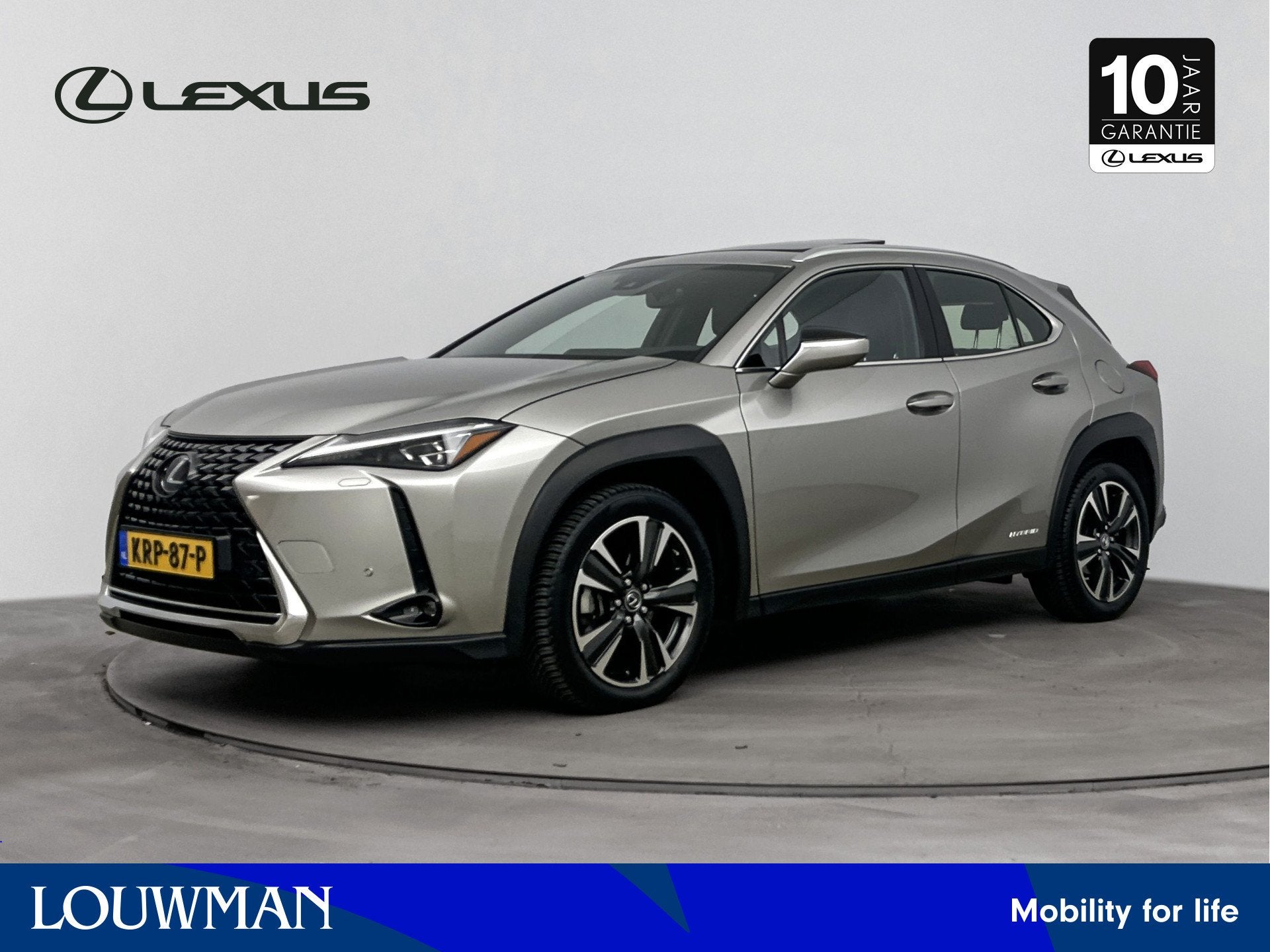 Lexus UX 250h Executive Line Limited President | Mark-Levins