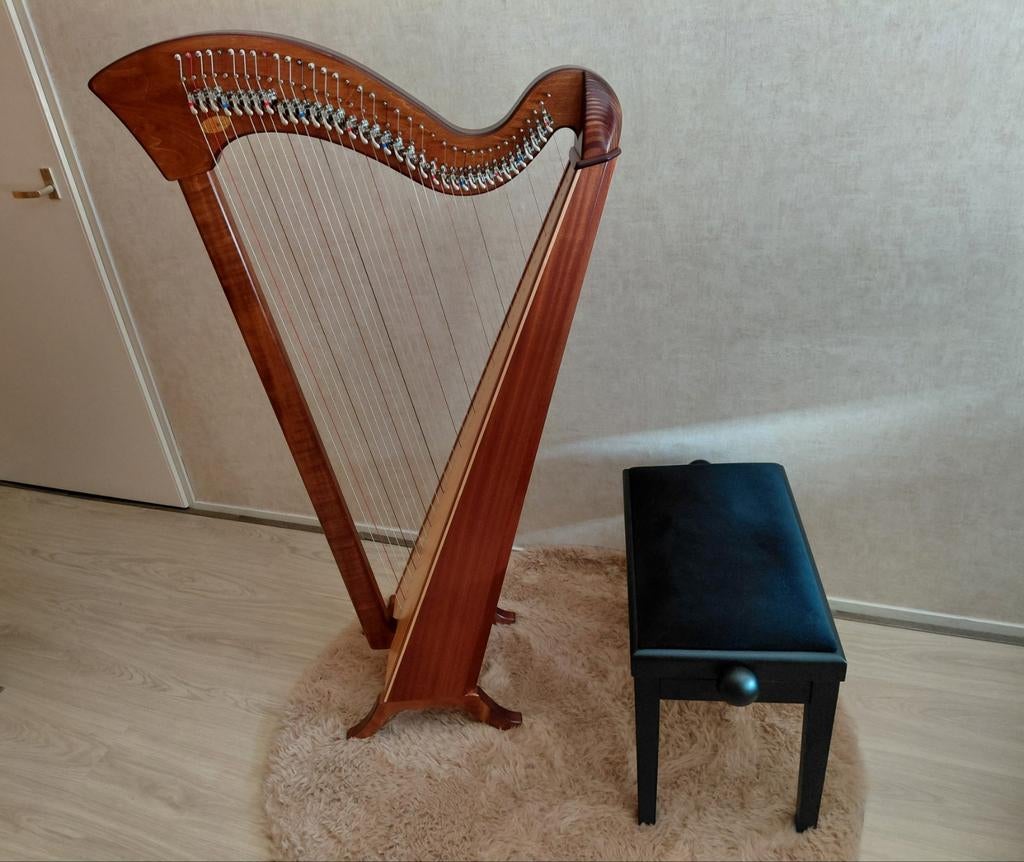 Riedel Keltische harp Annabell nagekeken incl kruk, reistas, Muziek en Instrumenten, Ophalen, Zo goed als nieuw