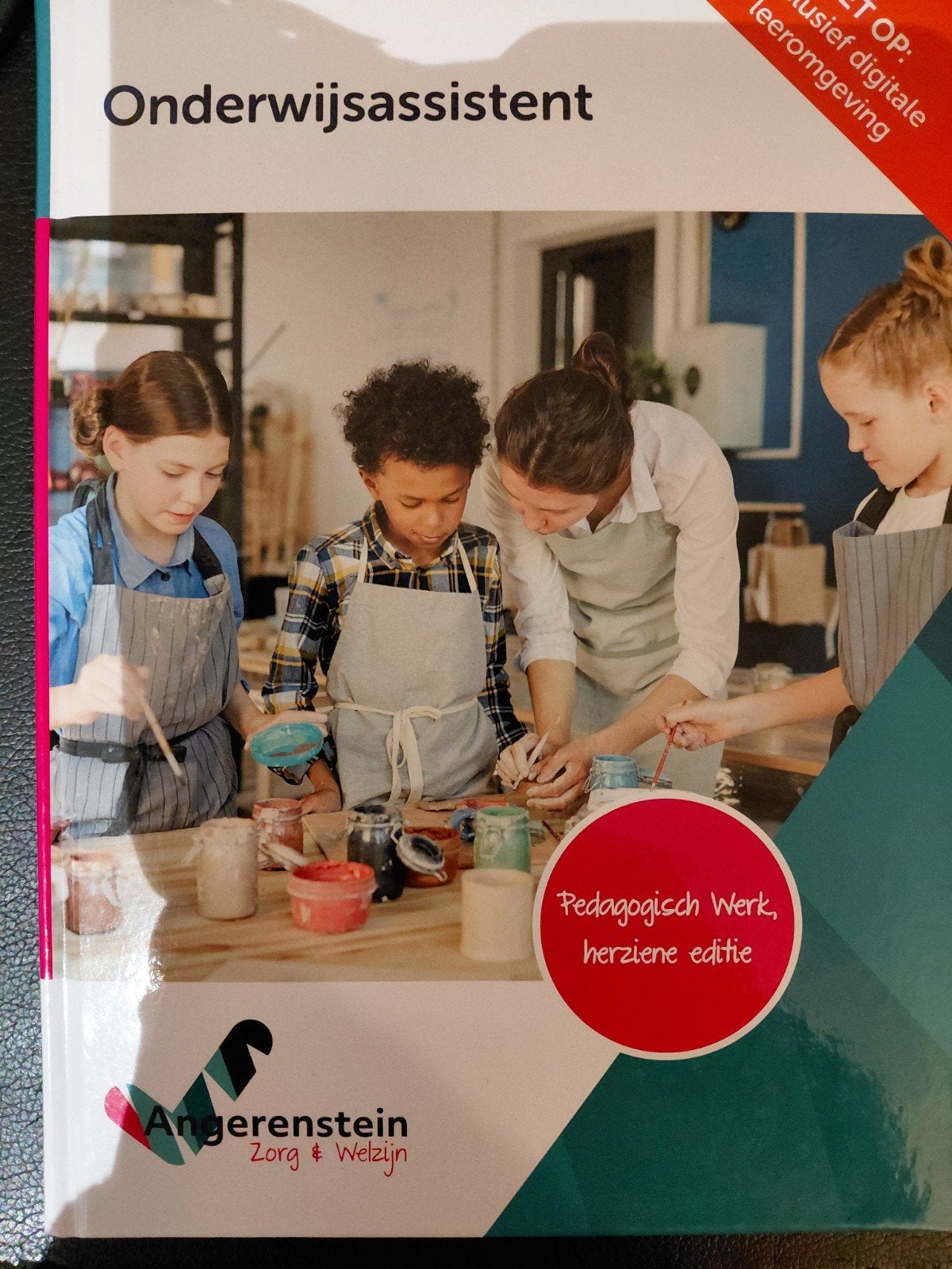 Onderwijsassistent 9789037264364, Ophalen of Verzenden, Nieuw, Overige niveaus