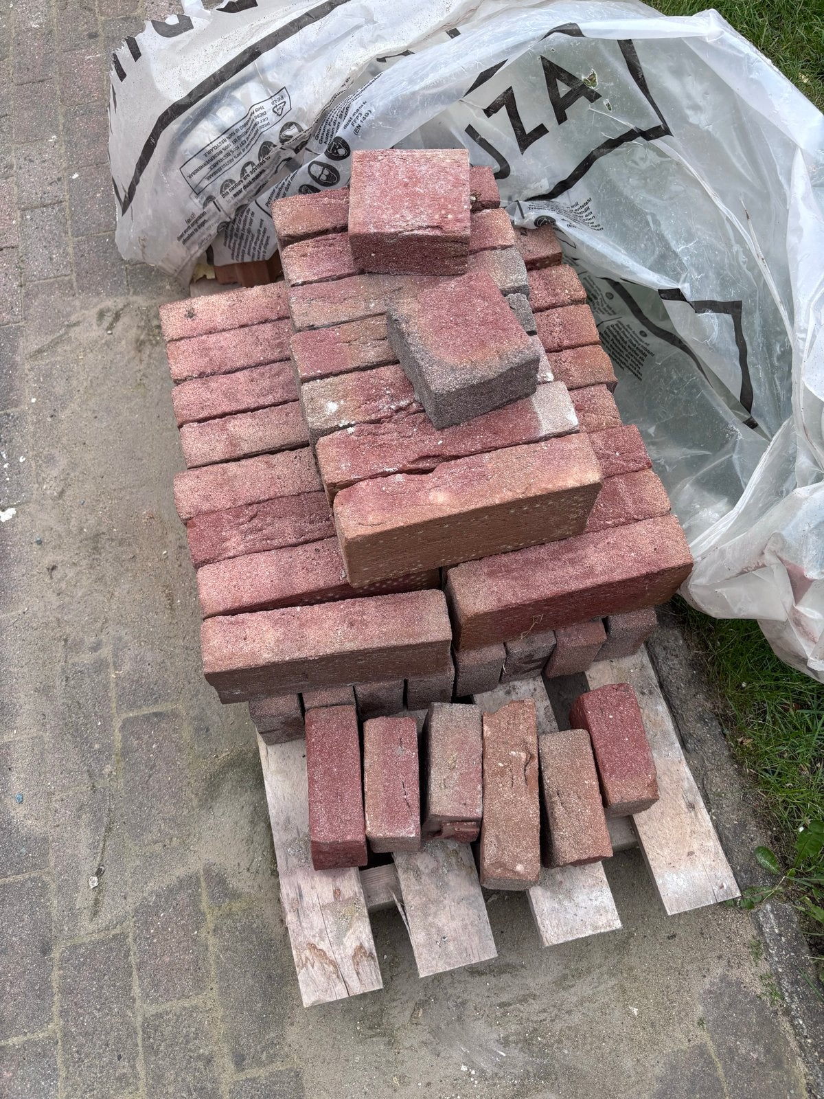 40 stuks WF HV rodruza rossums bont 82.ab, Ophalen, Nieuw, Bakstenen