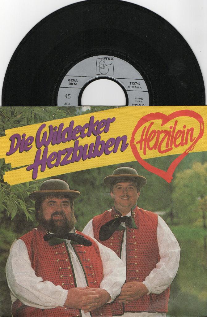 Die Wildecker Herzbuben – Herzilein, Cd's en Dvd's, Ophalen of Verzenden, Zo goed als nieuw, Overige genres