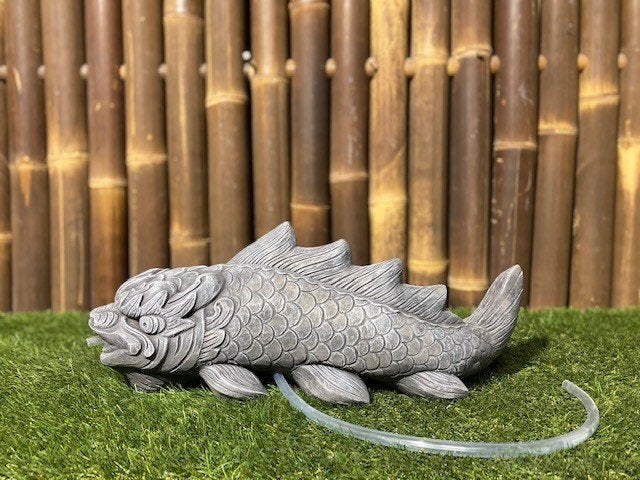 Dragon Koi