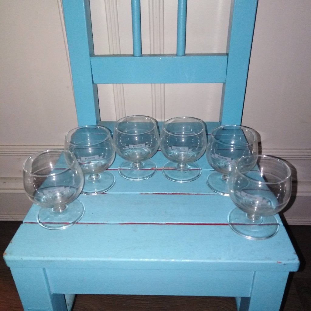 Floryn jenever borrelglaasjes 6 stuks, Ophalen, Gebruikt, Borrel- of Shotglas