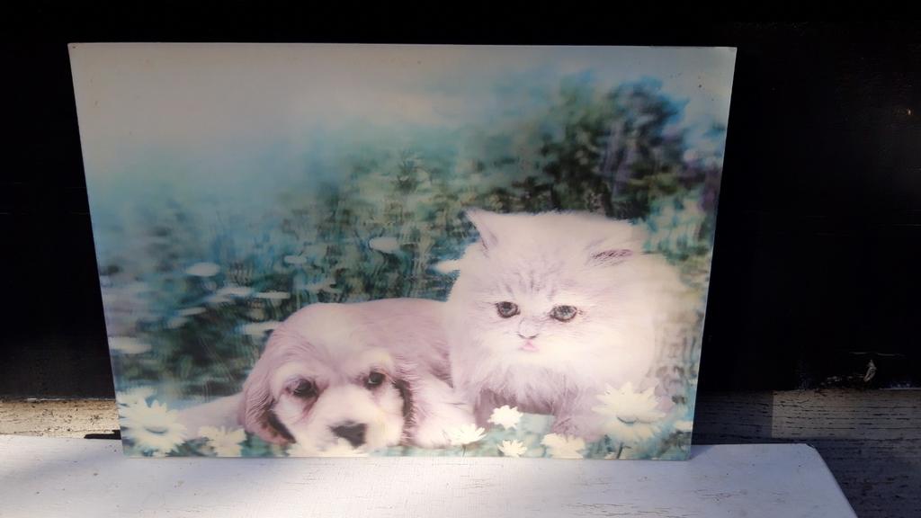 Vintage 3D plankje met puppy en kitten, jaren '70, Ophalen of Verzenden