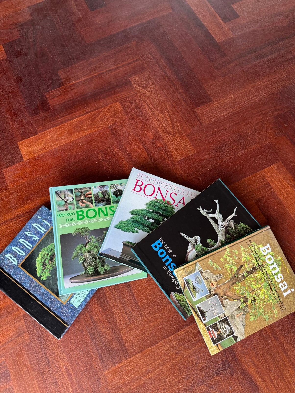 Collectie Bonsai Boeken, Tuin en Terras, Planten | Bomen, Bloeit niet, Overige soorten, Minder dan 100 cm, Ophalen