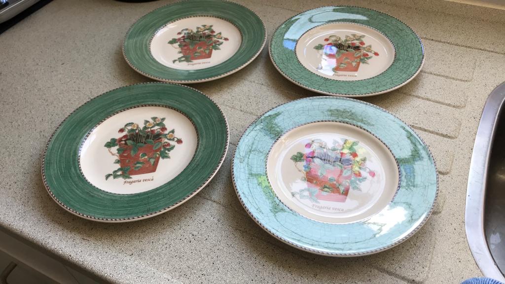 Wedgwood Engeland, Sarah’s garden,  ontbijtbordjes 4st., Ophalen, Zo goed als nieuw, Bord(en), Wedgwood