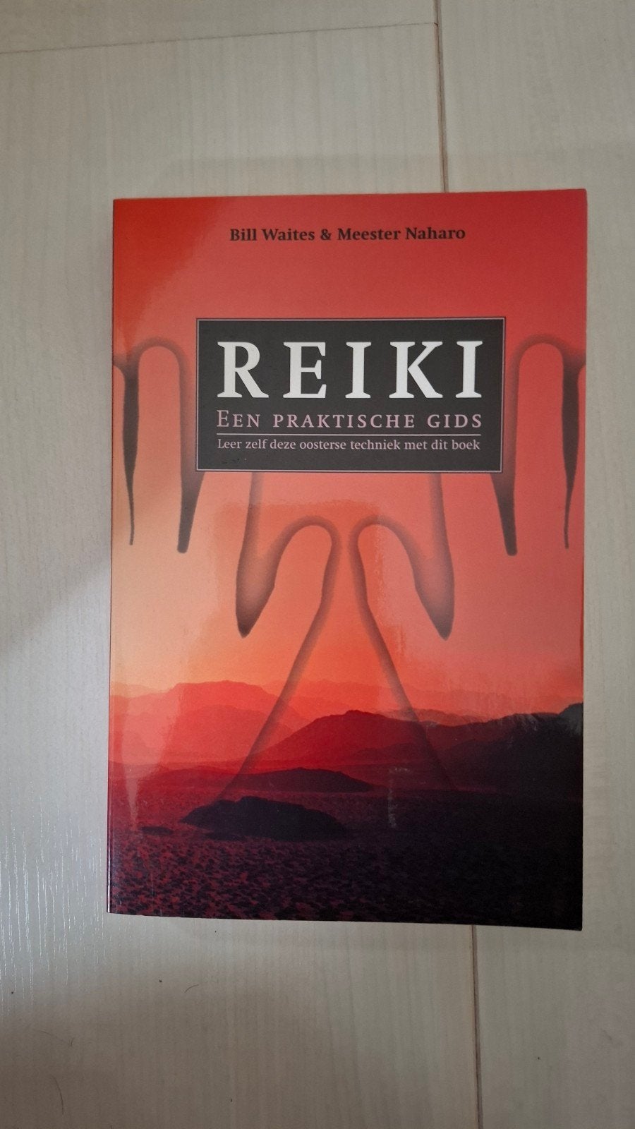 Reiki: Een Praktische Gids - Leer Oosterse Techniek, Boeken, Spiritualiteit algemeen, Ophalen of Verzenden, Zo goed als nieuw