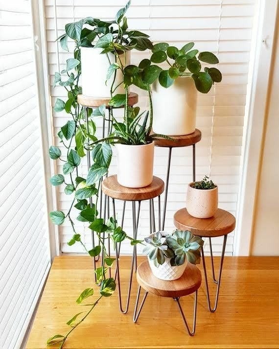 gezocht planten tafel/ etagaire, Ophalen