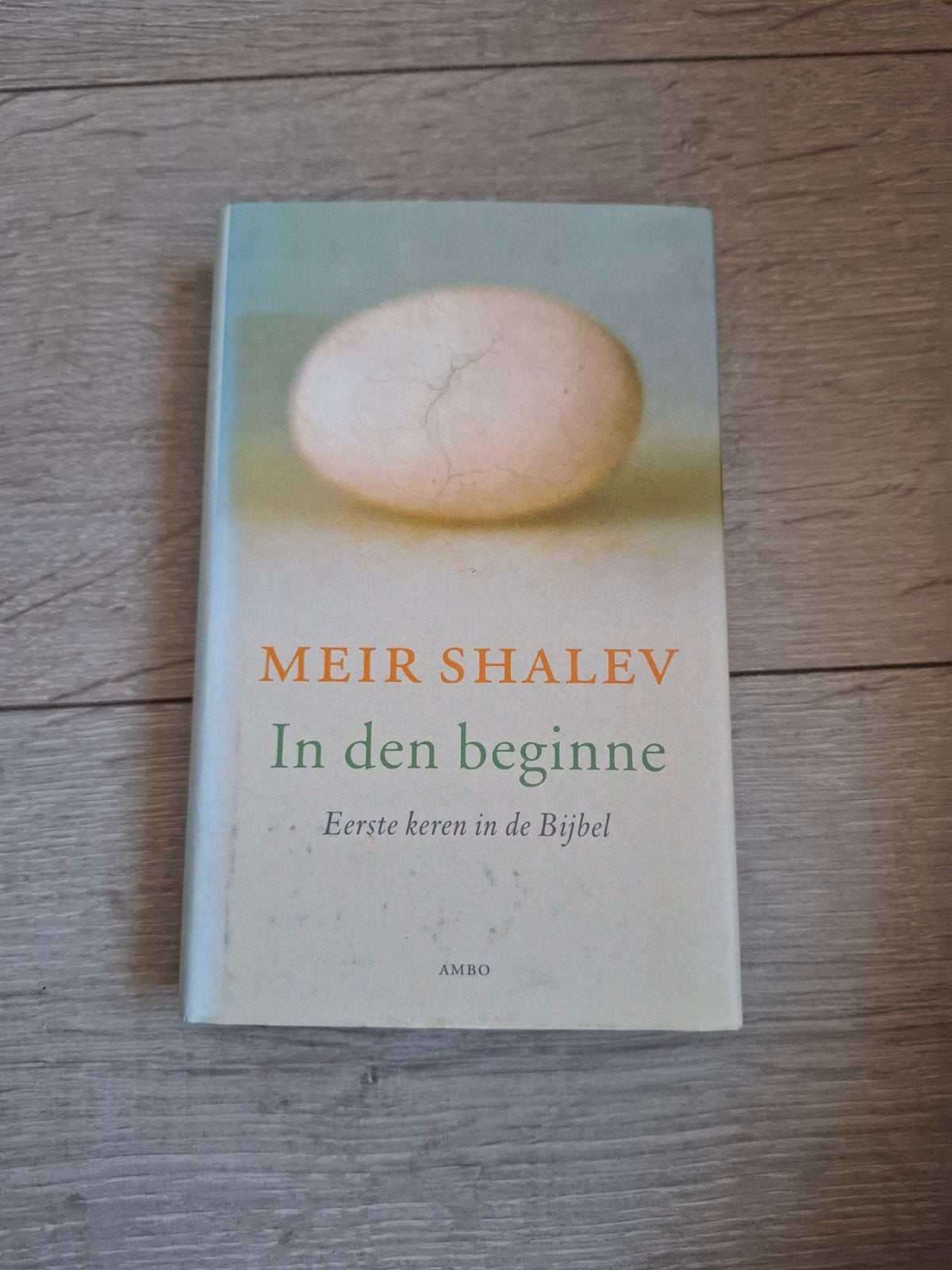 In den beginne - Meir Shalev, Ophalen of Verzenden, Zo goed als nieuw, Meir Shalev