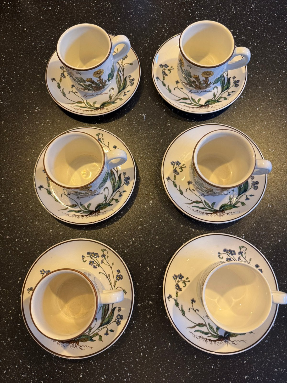 Villeroy & Boch Botanica koffiekop en schotels (set van 6), Gebruikt, Villeroy & Boch, Ophalen of Verzenden, Overige stijlen