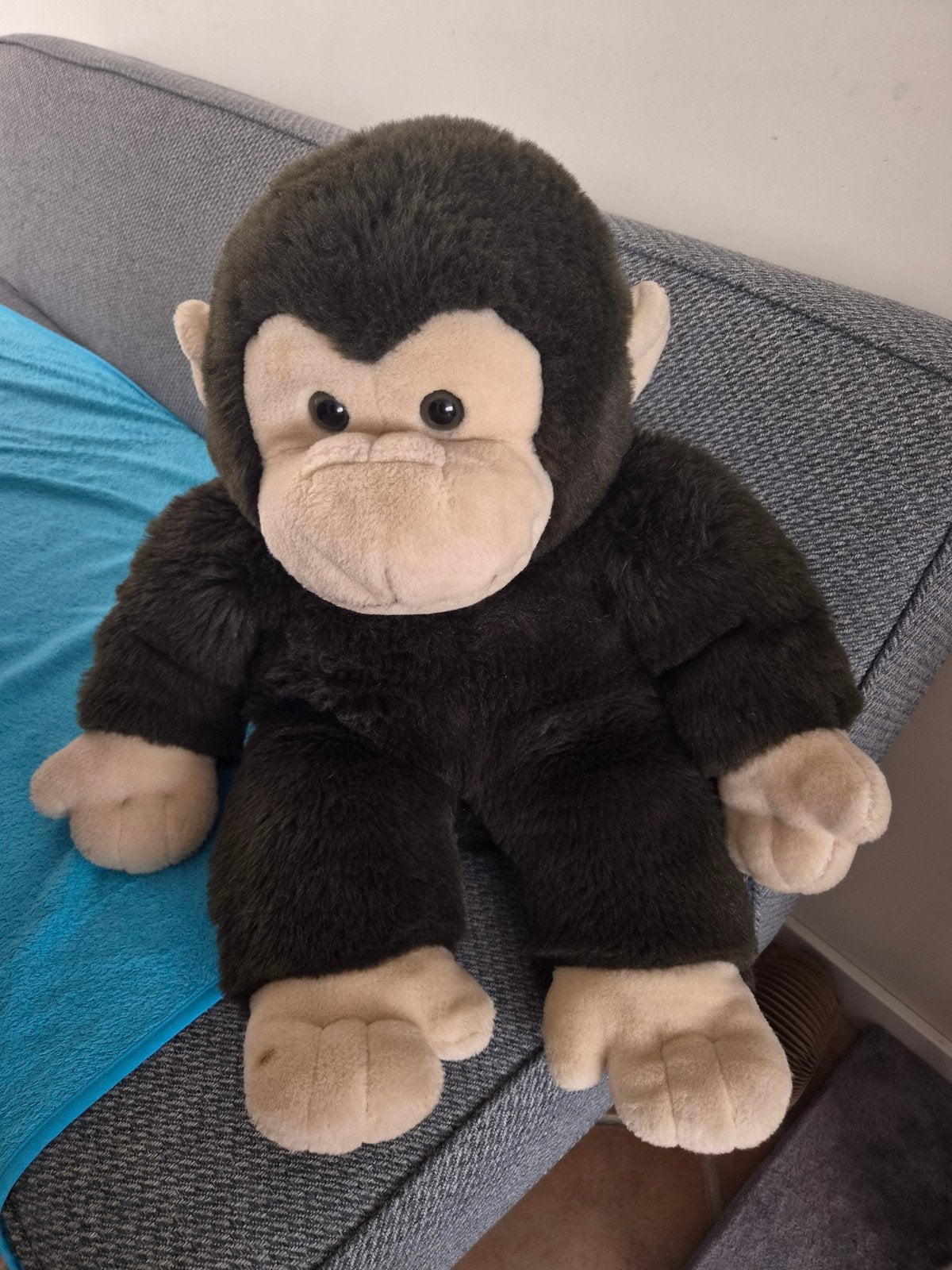 Grote knuffel aap met een paar vlekjes, Ophalen