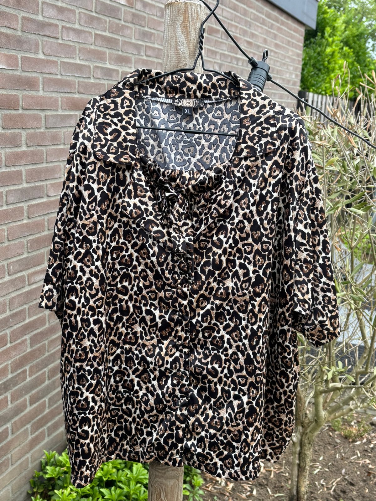 Shortama Patty Brard!, Kleding | Dames, Ophalen of Verzenden, Nieuw, Maat 46/48 (XL) of groter