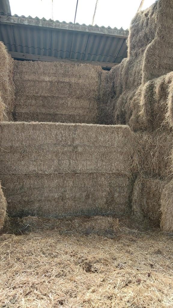 hooi met laag suiker, ideaal voor koliekgevoelige paarden, Dieren en Toebehoren, Dierenvoeding, Ophalen, Vee