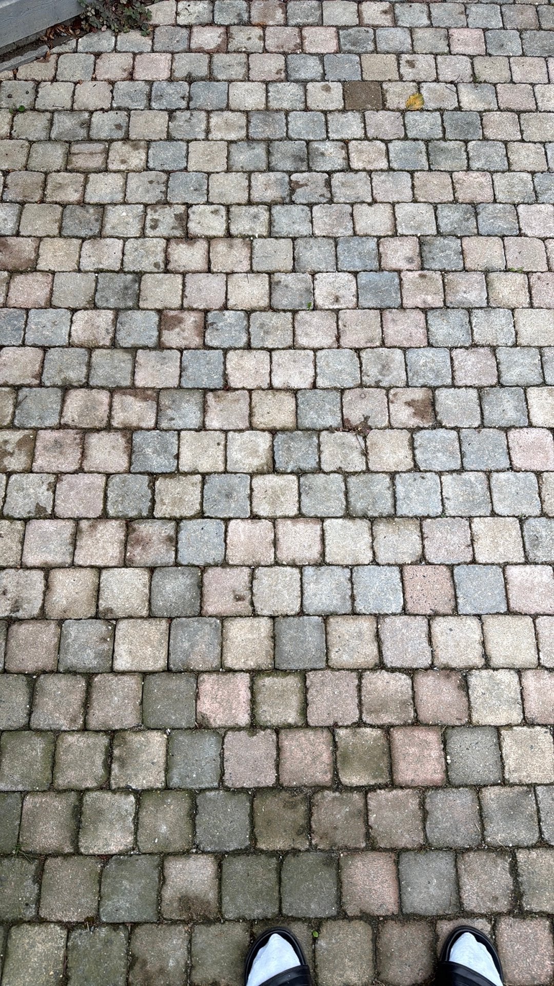 Gratis ophalen leuke vierkante steentjes, 5m2, Tuin en Terras, Tegels en Klinkers, Ophalen, Gebruikt, Beton, Terrastegels