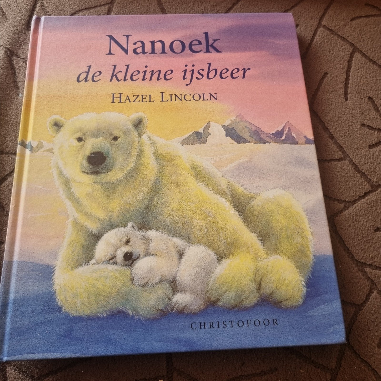 Nanoek de kleine ijsbeer - Prentenboek Hazel Lincoln, Boeken, Ophalen of Verzenden, Zo goed als nieuw, Hazel Lincoln, Prentenboek