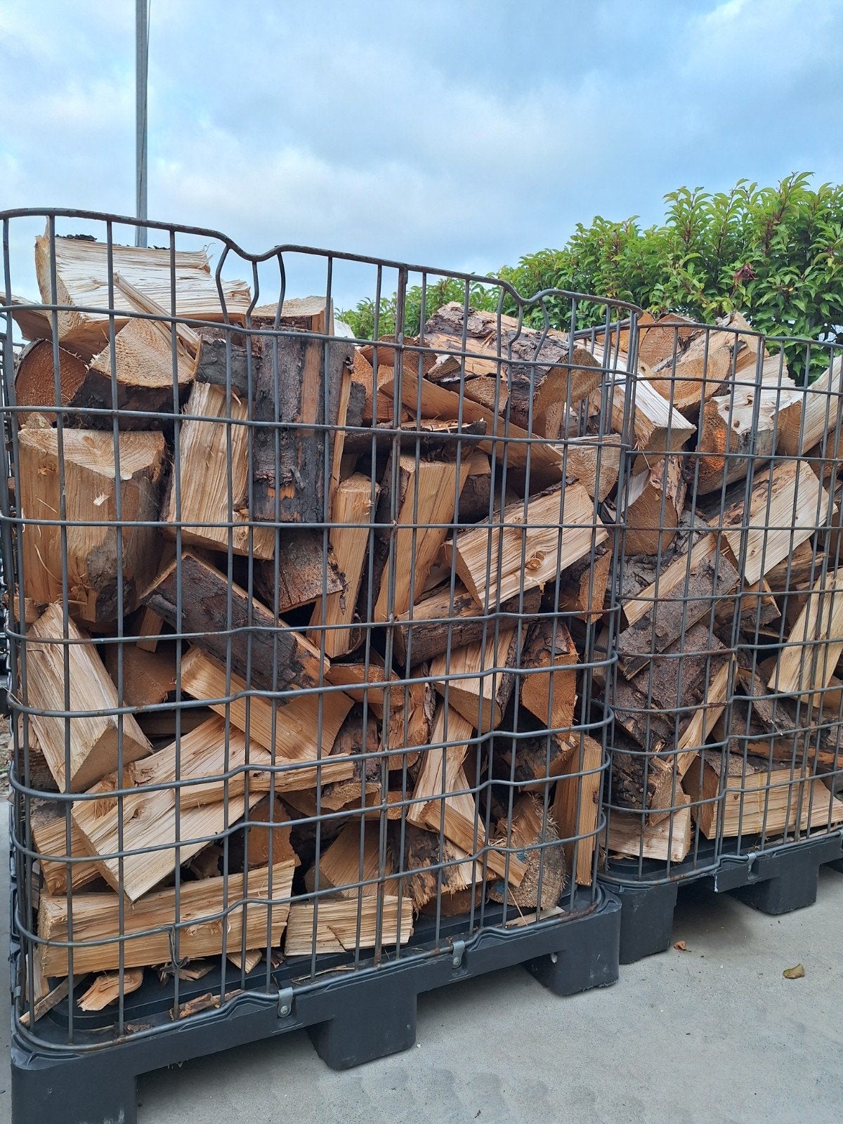 Haardhout naaldhout, 3 tot 6 m³, Ophalen, Overige houtsoorten