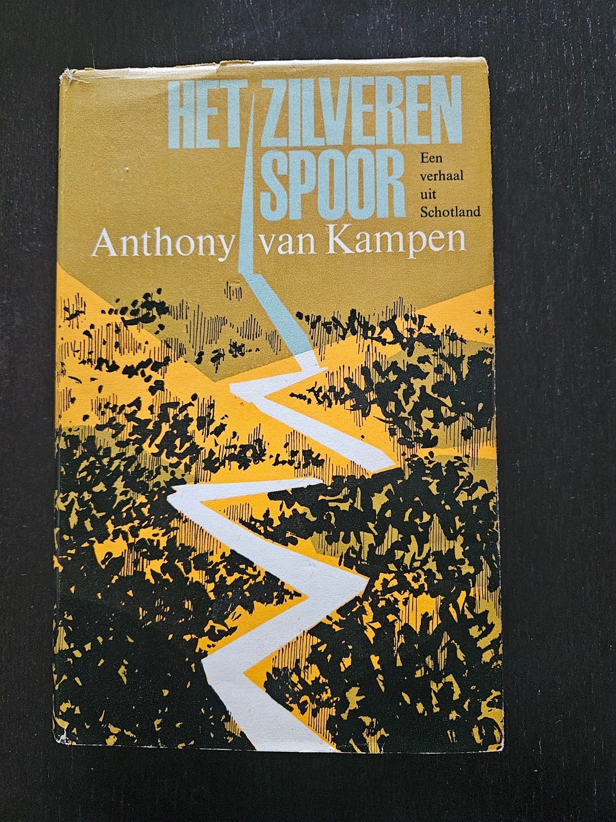 Het Zilveren Spoor, 1963, Anthony van Kampen, Boeken, Ophalen of Verzenden, Gelezen, Anthony van Kampen