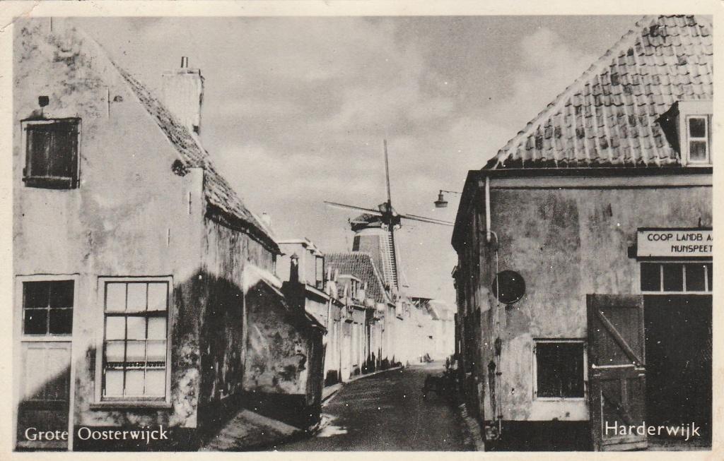 harderwijk- grote oosterwijck, Verzamelen, Ansichtkaarten | Nederland, Verzenden, 1940 tot 1960, Gelderland