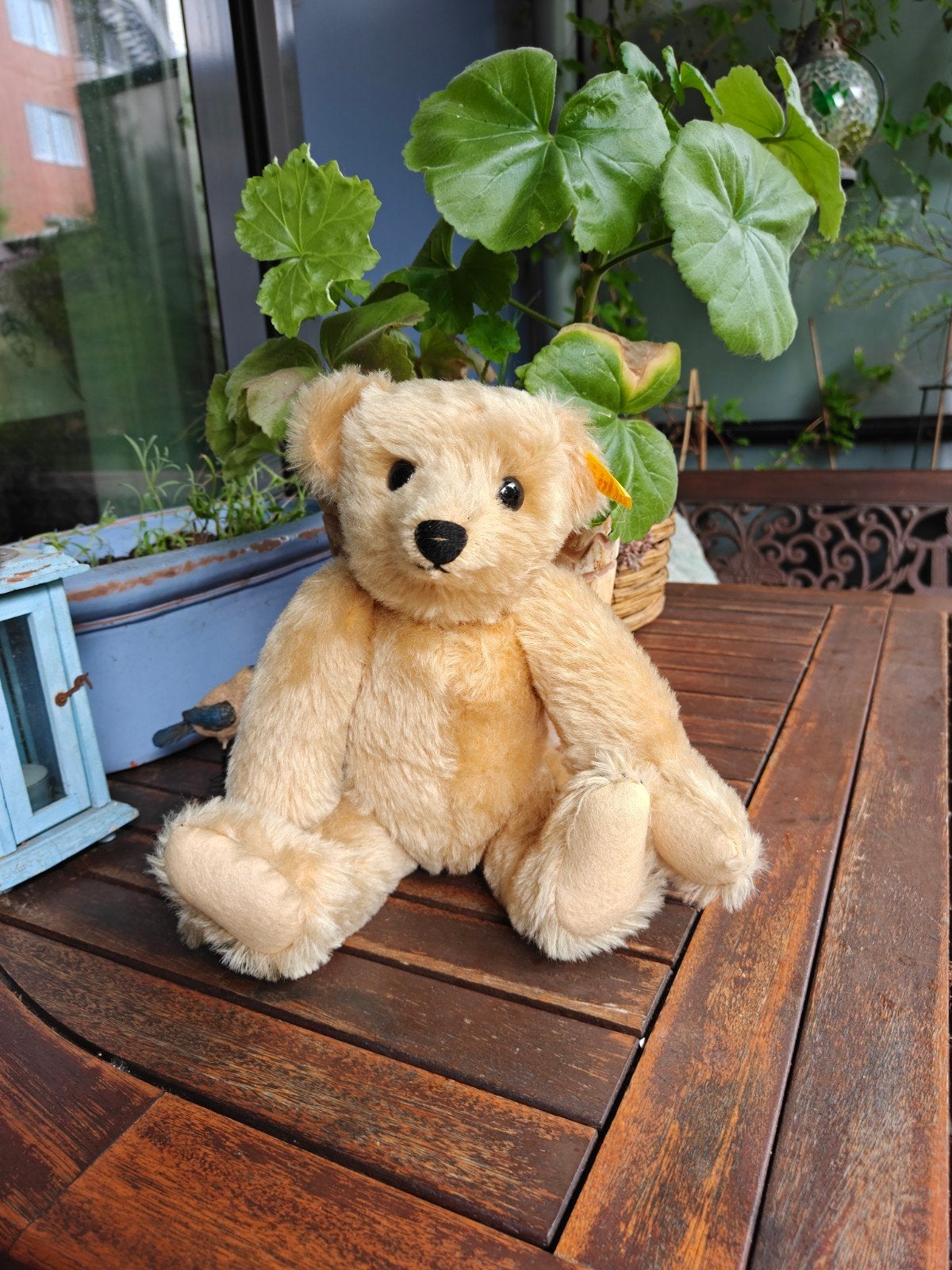 Mooie Steiff beer - 33cm - Nette staat, Ophalen of Verzenden
