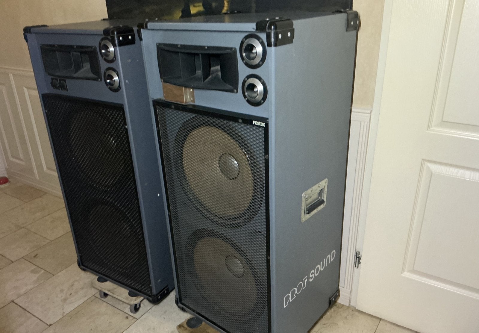 2 profsound geluid boxen  met fostex luidsprekers, Gebruikt, 120 tot 150 watt, Overige typen, Ophalen