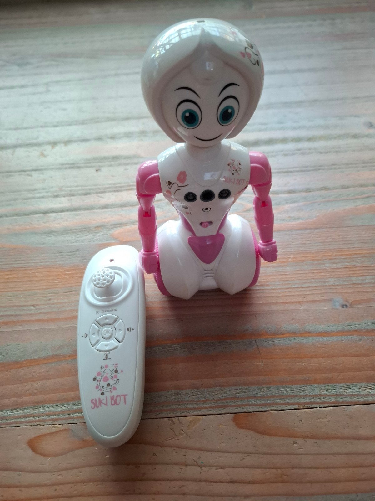 Suki Bot: Dansende en op afstand bestuurbare robot, Ophalen
