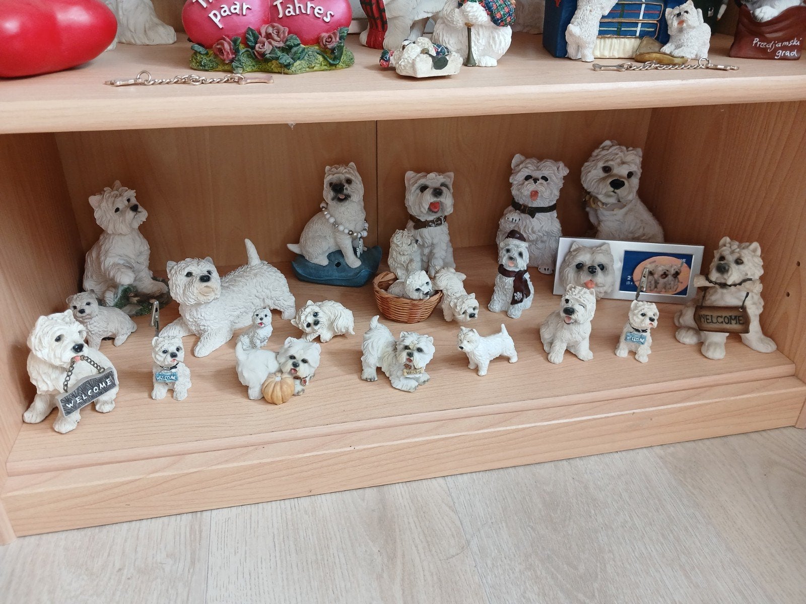verzameling westie's, Ophalen
