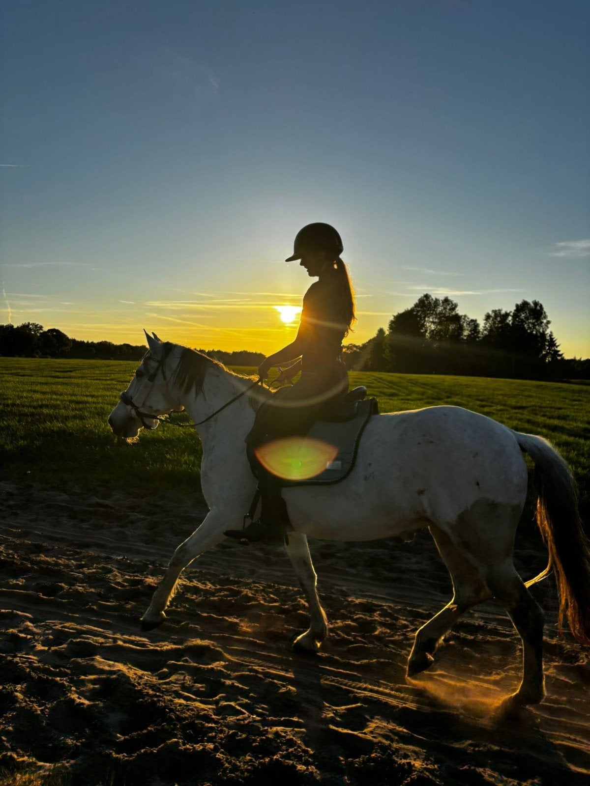 Verzorger/ bijrijder gezocht 16+!, Dieren en Toebehoren, Stalling en Weidegang