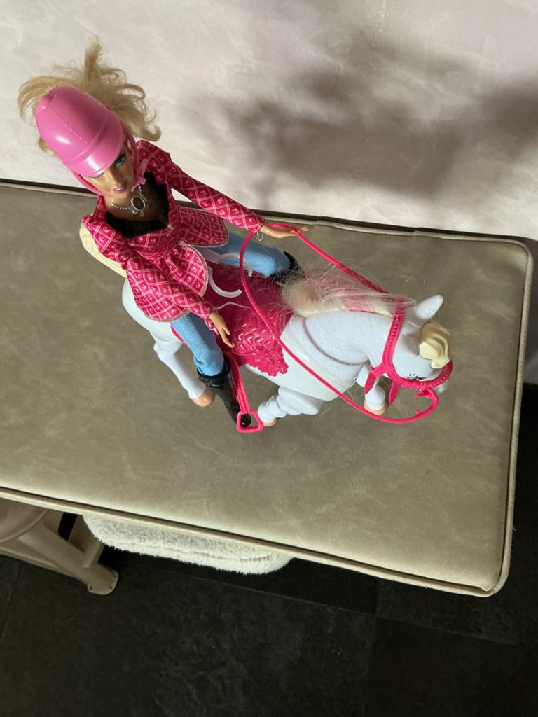 Barbie met paard - Roze ruiter outfit, Ophalen of Verzenden, Zo goed als nieuw, Barbie