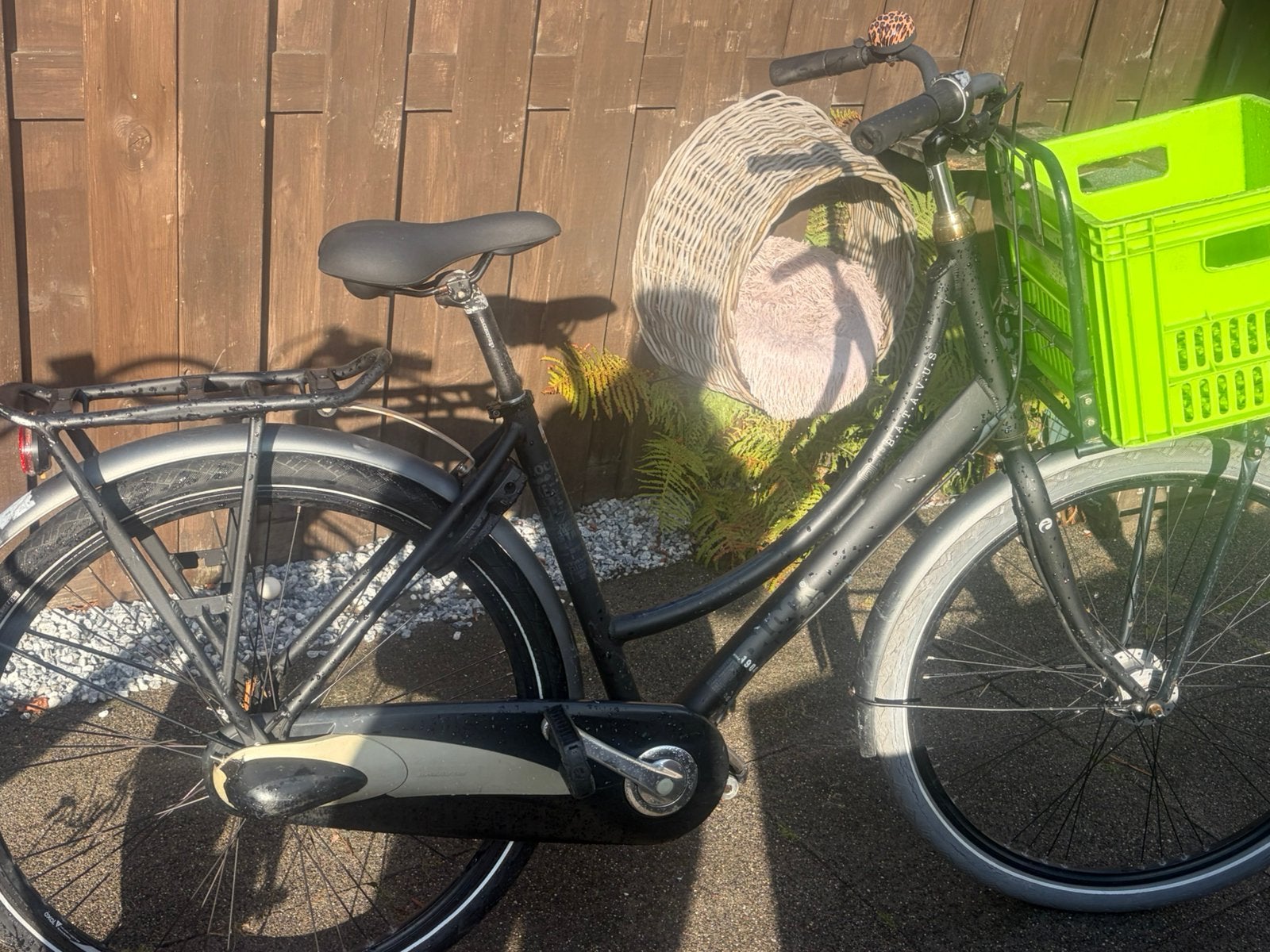 Batavus blockbuster dames fiets, Ophalen, Terugtraprem, Versnellingen, Batavus
