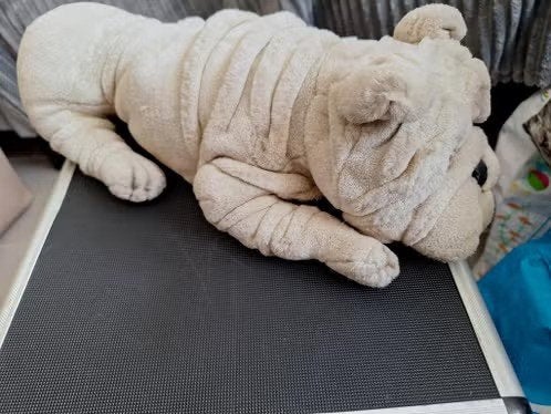 Knuffel hond Sharpei h, Onbekend, Zo goed als nieuw, Onbekend, Onbekend