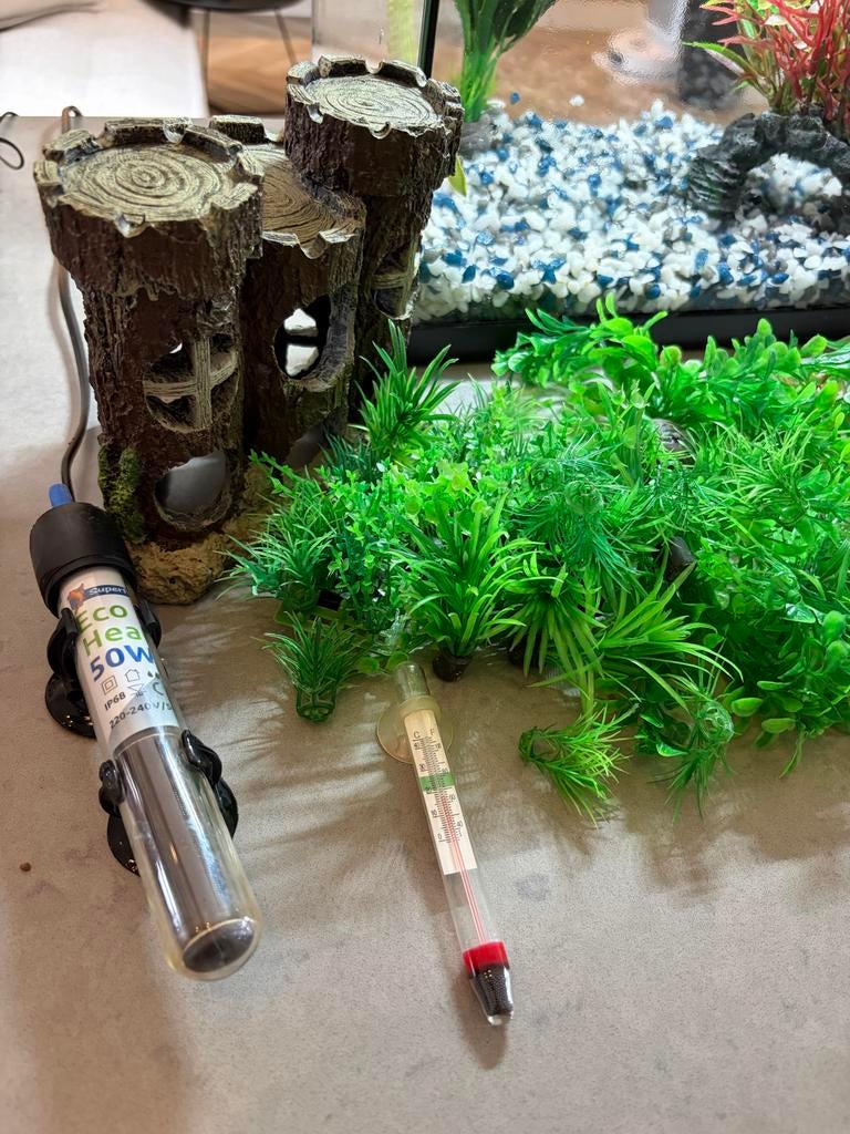 Aquarium inclusief alle toebehoren en decoratie, Ophalen, Gebruikt, Leeg aquarium