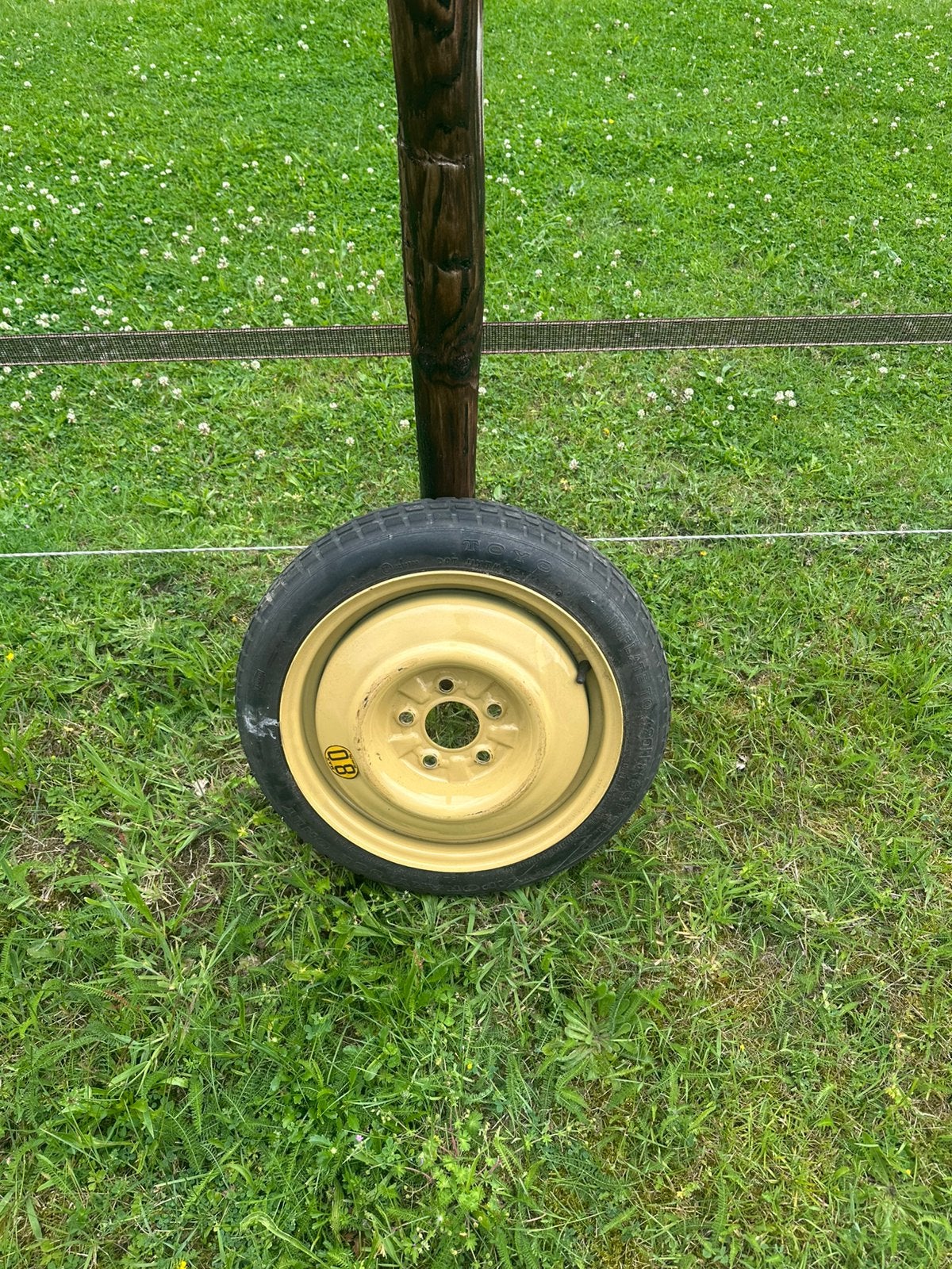 Thuiskomer 1 5x115 en 2 5x115 15 inch 3 5x108 18inch, Ophalen
