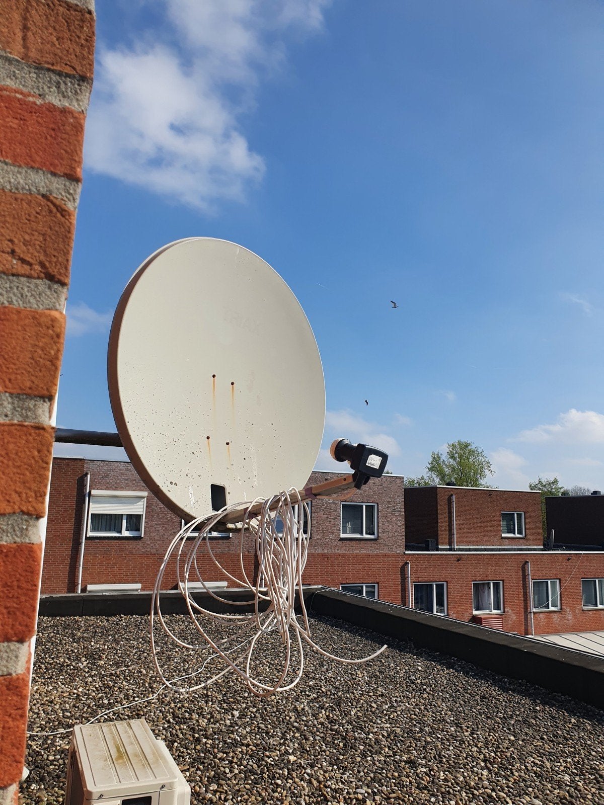 Schotelantenne met LNB - Gebruikt, Ophalen of Verzenden, Gebruikt, (Schotel)antenne, Overige merken