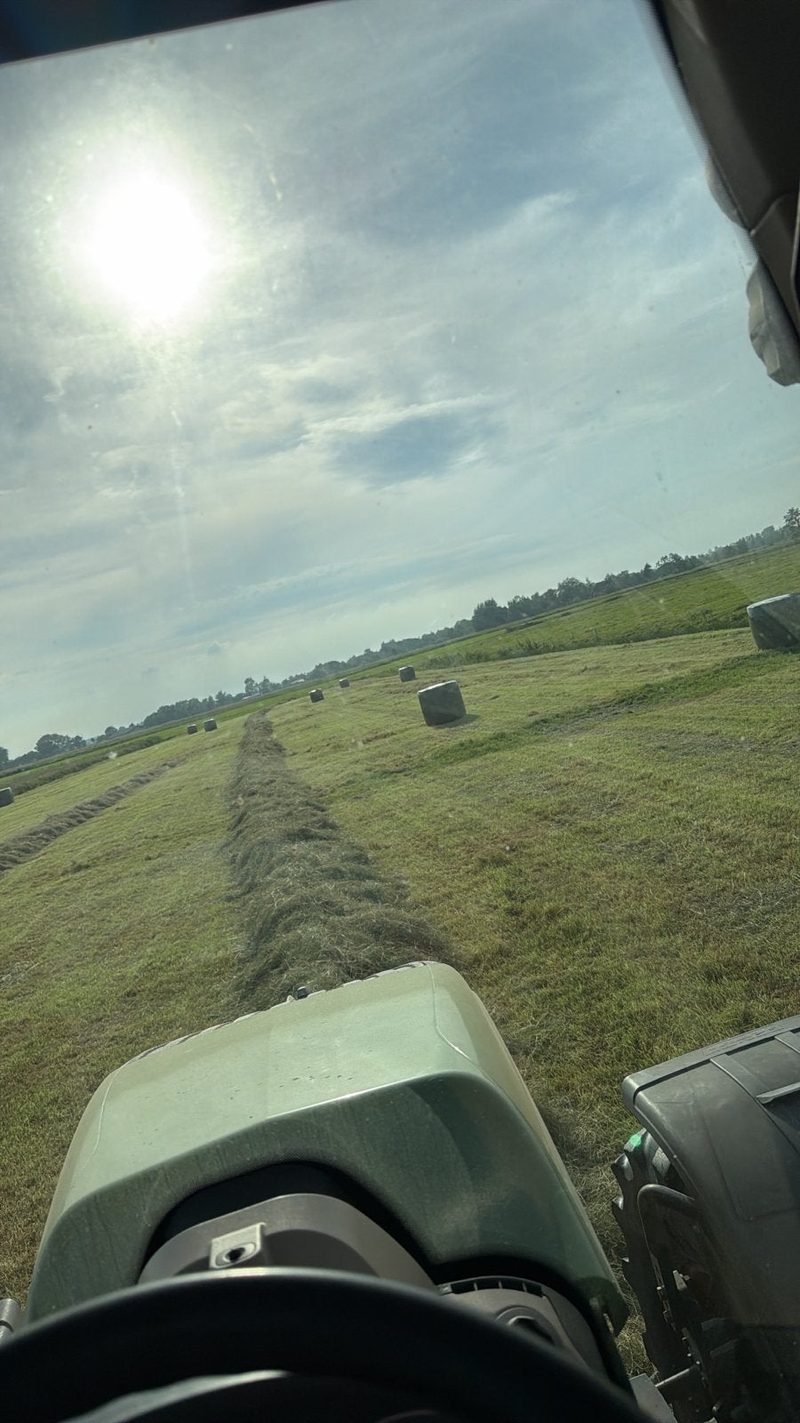 Kuil en hooi gras, Ophalen of Verzenden, Vee