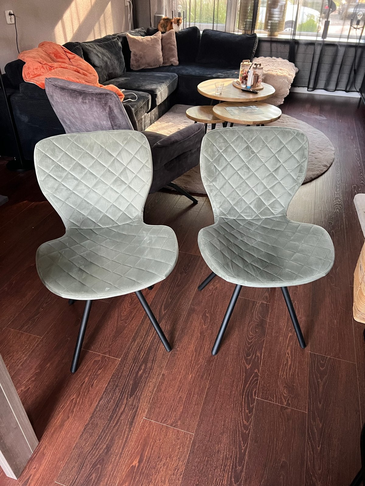 Set van 2 eetkamerstoelen, Ophalen, Twee, Overige kleuren, Zo goed als nieuw