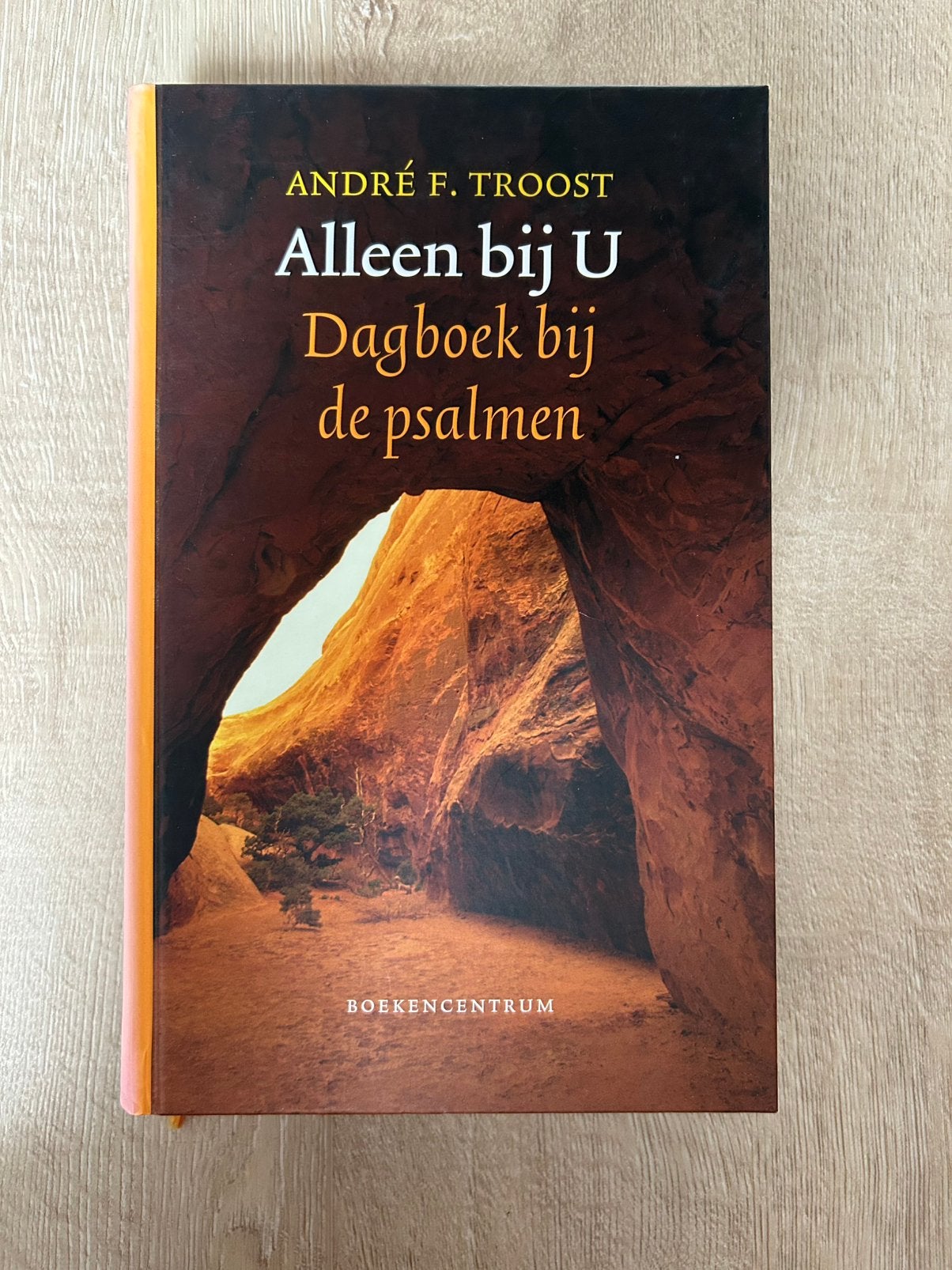 Alleen bij U - dagboek bij Psalmen - André F. Troost, Boeken, Ophalen of Verzenden, Zo goed als nieuw