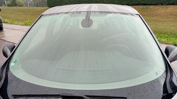 Voorruit van een Renault Scenic, Gebruikt, -, Renault, -
