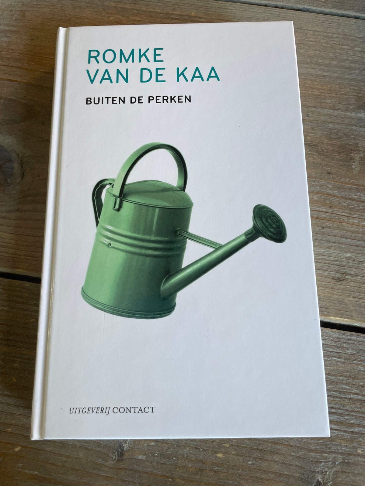 Romke van de Kaa - Buiten de Perken (Gebonden Boek), Ophalen of Verzenden, Zo goed als nieuw, Nederland