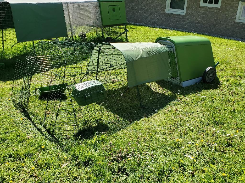NIEUW Omlet Eglu Go met 2m ren, Ophalen, Nieuw, Kippenhok of Kippenren