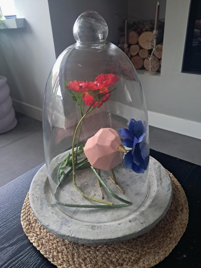 Glazen stolp met betonnen schaal - Decoratief, Ophalen of Verzenden, Zo goed als nieuw, Modern, Glas