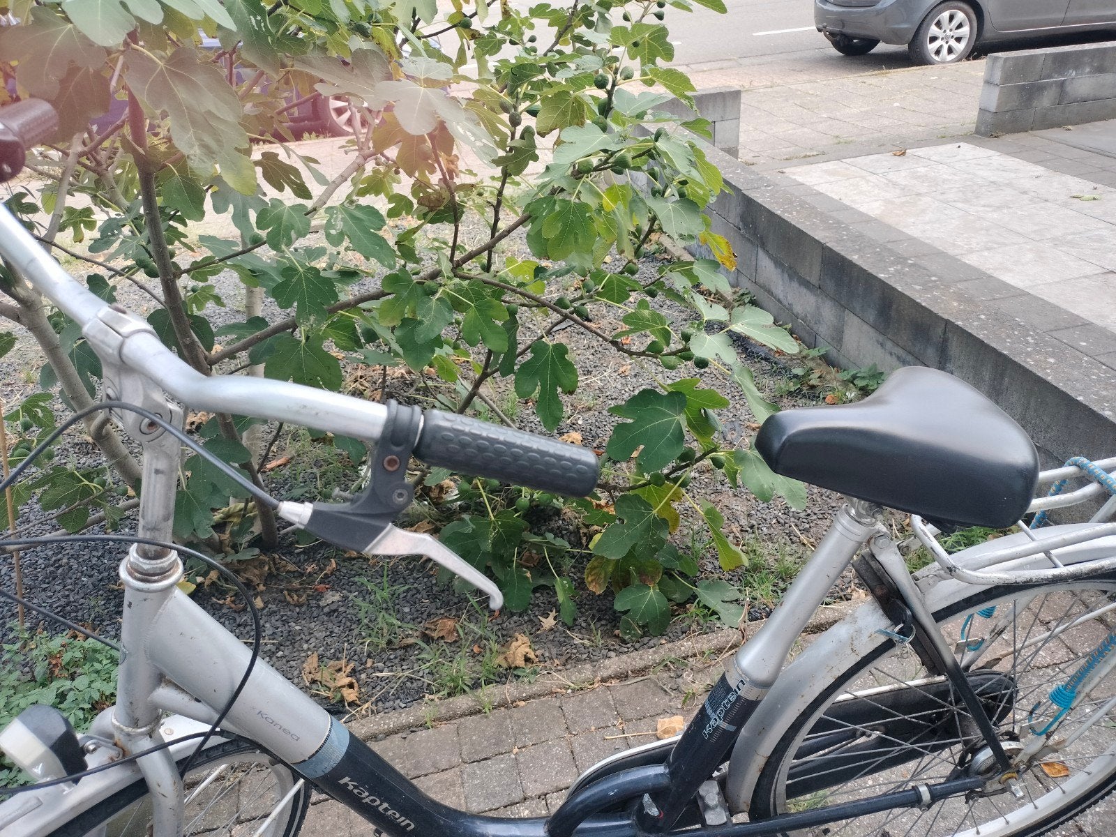 fiest, Fietsen en Brommers, Fietsen | Dames | Damesfietsen, Minder dan 47 cm, Ophalen, Gebruikt, Overige merken