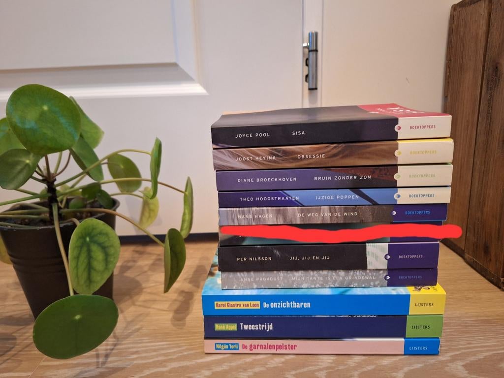 Diverse boeken, €10 voor alle 10, Boeken, Ophalen of Verzenden, Zo goed als nieuw, Populaire fictie